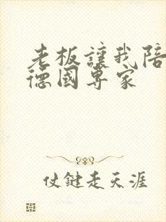 老板让我陪两个德国专家