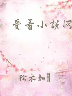 爱看小说网