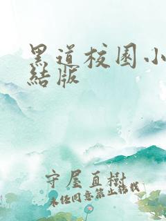 黑道校园小说完结版