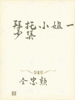 拜托小姐一共多少集