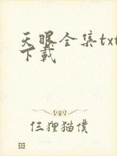 天眼全集txt下载