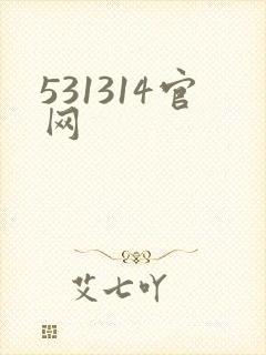 531314官网