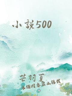 小说500