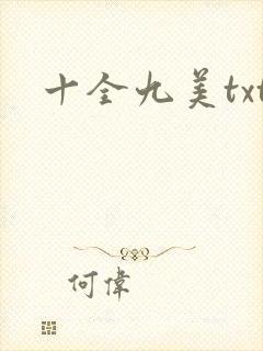 十全九美txt