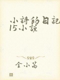小诗的日记1一15小说