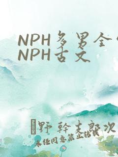 NPH多男全处NPH古文
