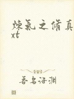 炼气之修真者txt