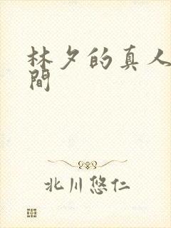 林夕的真人娃娃间