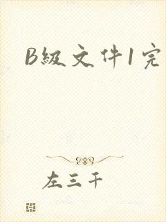 B级文件1完整