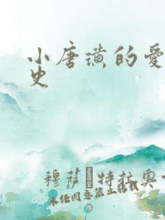 小唐璜的爱情历史