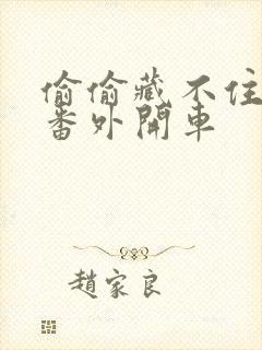 偷偷藏不住婚后番外开车