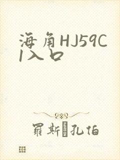海角HJ59C1入口