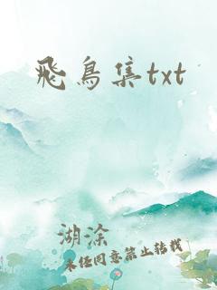 飞鸟集txt