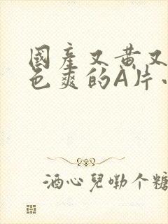 国产又黄又大又色爽的A片小说