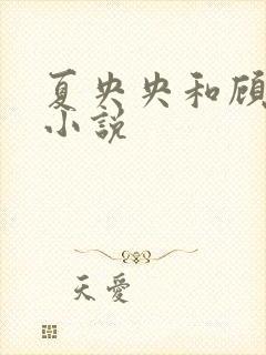 夏央央和顾祁琛小说