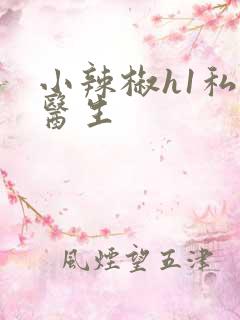 小辣椒h1私人医生