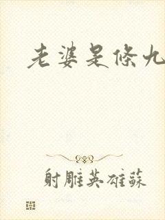 老婆是条九尾狐