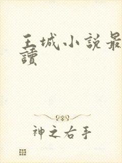 王城小说最近阅读