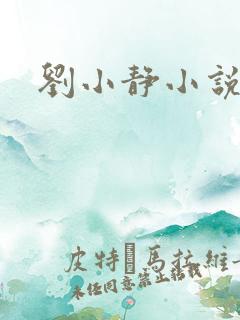 刘小静小说
