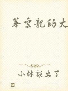 华云龙的大宝贝