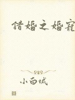 错婚之婚宠一世