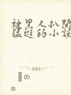 被黑人扒开双腿猛进的小说