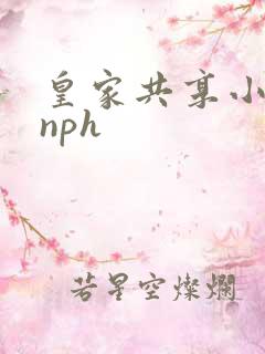 皇家共享小公主nph