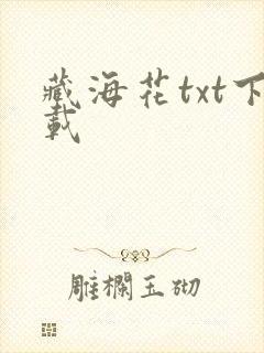 藏海花txt下载