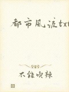 都市风流txt
