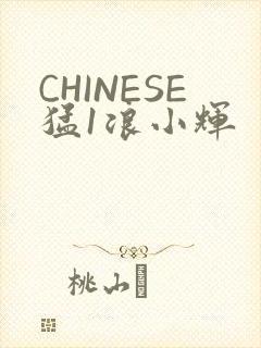 CHINESE猛1浪小辉