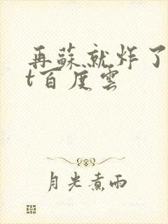 再苏就炸了txt百度云