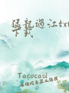 猛龙过江txt下载