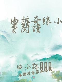 内裤奇缘小说免费阅读