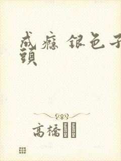 成瘾 银色子弹头