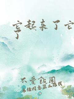 它起来了它想你了