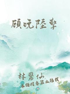 顾晚陆擎