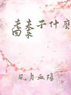 老夫子什么时候回来