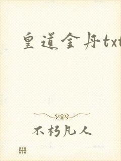 皇道金丹txt