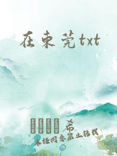 在东莞txt