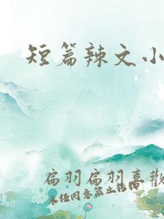 短篇辣文小说