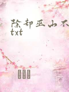 除却巫山不是云txt