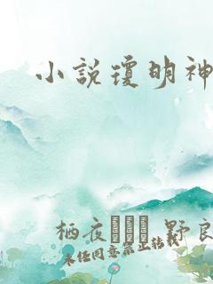 小说琼明神女录