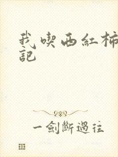 我吃西红柿九鼎记