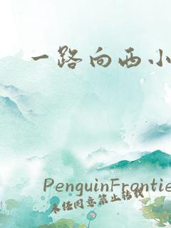 一路向西小说