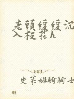 老头缓缓沉腰进入校花h