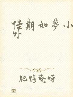 佳期如梦小说番外