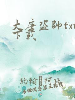 大唐盗帅txt下载