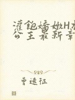 灌饱娇嫩H将军公主最新章节