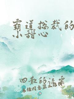 霸道总裁的宠爱小甜心