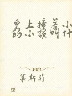 皇上撞着小公主的小说叫什么